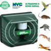 Analog Alarm Sound Intelligent Electronic Rat Killer - Image 2