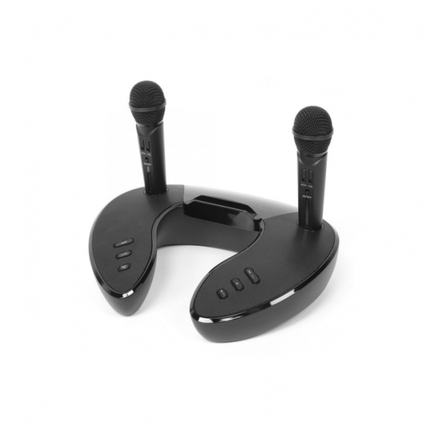 ST-2020 Wireless Dual Handheld Microphones KTV